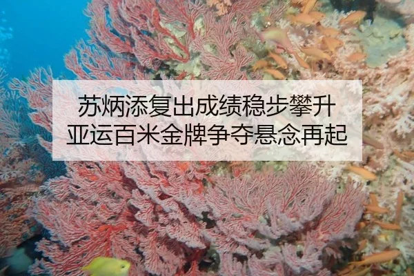 su-bing-tian-fu-chu-cheng-ji-wen-bu-pan-sheng-ya-yun-bai-mi-jin-pai-zheng-duo-xuan-nian-zai-qi-2-283.jpg